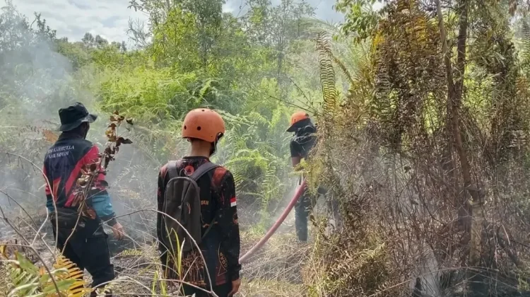 Marak Karhutla, Bupati Kotim Imbau Warga Jangan Bakar Lahan