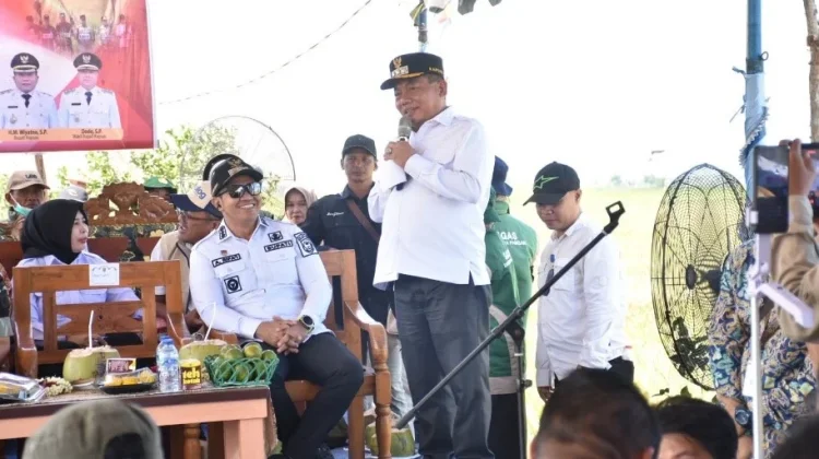 Panen Raya Padi di Bataguh Dukung Ketahanan Pangan Kalimantan tengah