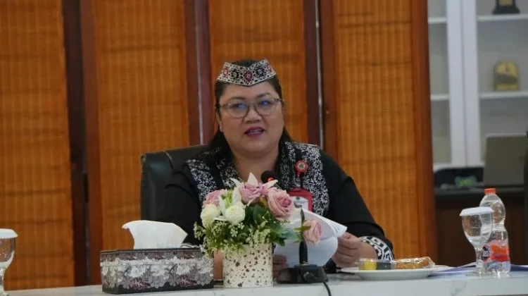 Perkuat Iklim Investasi Daerah, Pemkab Kapuas Susun Perbup Insentif Investasi