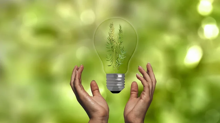 Hari Kemerdekaan Energi Global, Dorong Masa Depan Bersih Berkelanjutan