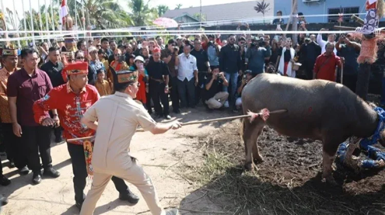 Gubernur Agustiar Sabran Hadiri Puncak Ritual Tiwah Keluarga Besar Upun Gawi