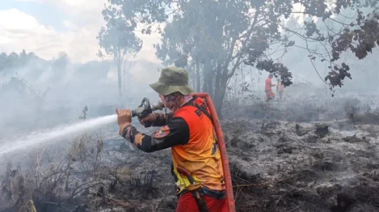BPBD Kobar dan Tim Gabungan Jinakkan Tiga Titik Karhutla Sekaligus