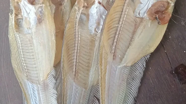 Ikan Lais Diolah Menjadi Ikan Asin, Jadi Sumber Penghasilan Masyarakat