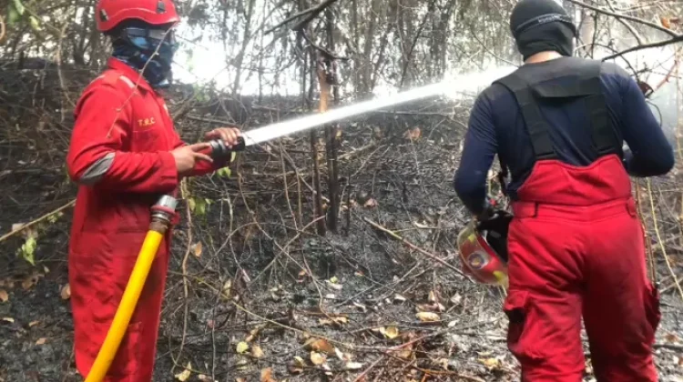 Response Time 12 Menit, Tim Gabungan Kobar Padamkan Kebakaran Sampah di Arsel