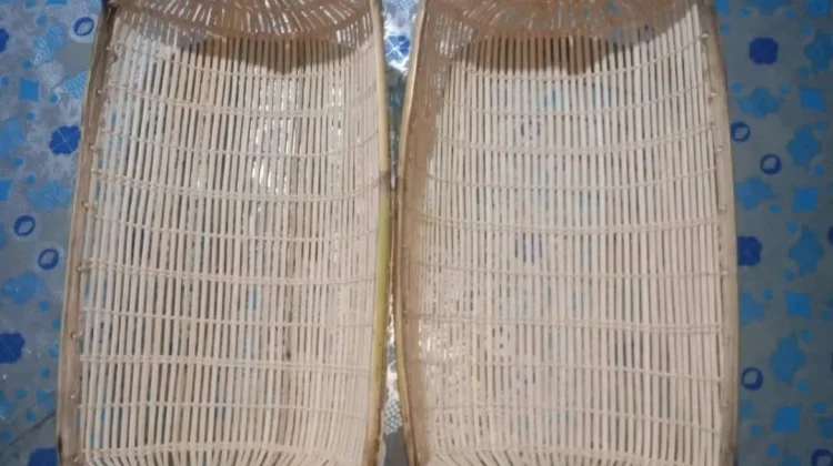 Sauk, Alat Tangkap Ikan Tradisional Dayak Ngaju yang Tetap Bertahan