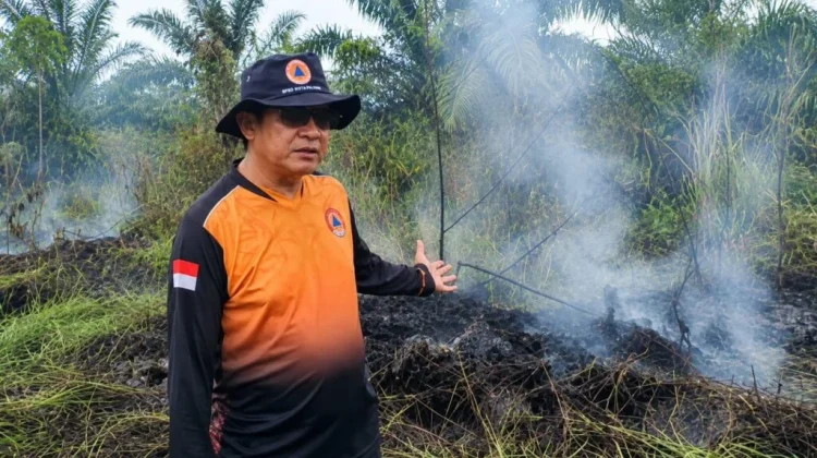 BPBD Palangka Raya Catat 90 Kejadian Karhutla