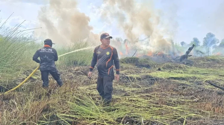 Wali Kota Palangka Raya Ancam Beri Sanksi Tegas Bagi Pembakar Lahan