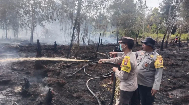 Sepekan Padam, Kembali Muncul Karhutla Jalan Gustaf Erang