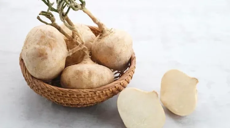 Bengkoang, Bahan Perawatan Kulit Alami bagi Kecantikan