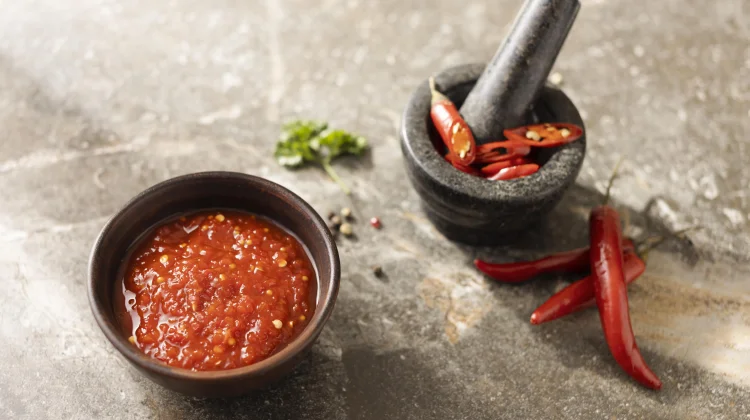 Terasi, Bumbu Tradisional Sumber Protein