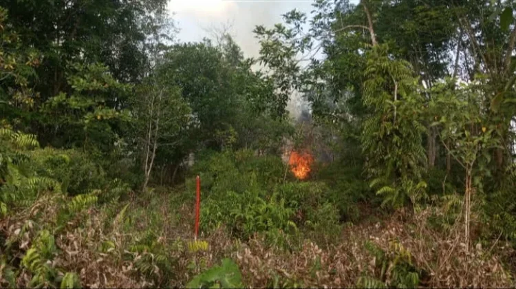 Kabut Asap Selimuti Sampit, Sementara Kapuas Perkuat Kesiapsiagaan Lintas Sektor