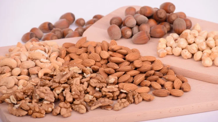 Kacang Koro, Sumber Protein Nabati dengan Segudang Manfaat Kesehatan