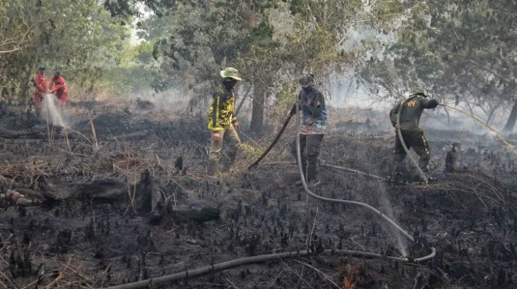 Satgas Karhutla Mengerahkan Ratusan Personil Padamkan Api di Kameloh Baru