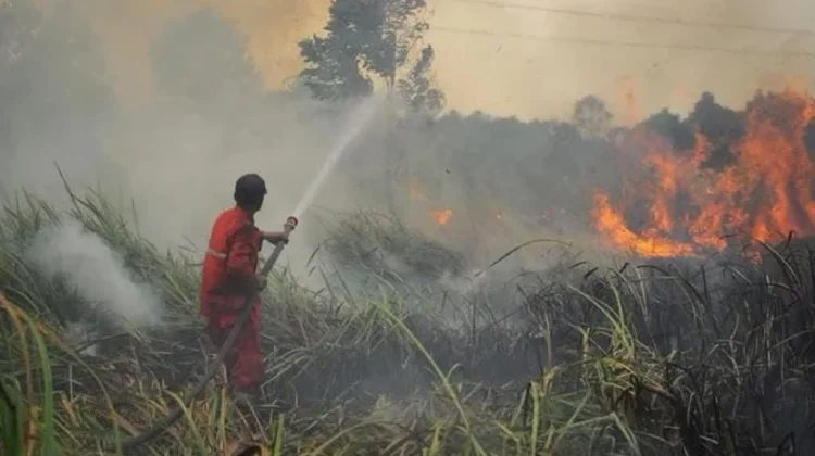 Operasi Modifikasi Cuaca Sasar Daerah Rawan Karhutla