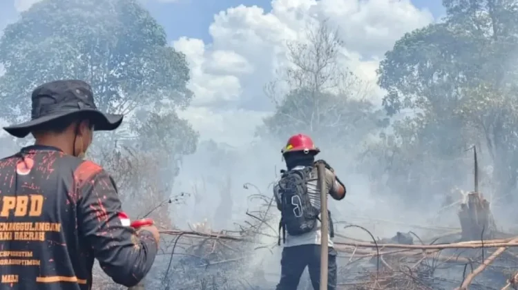 Karhutla Kotim Meluas, Dinkes Bagikan Belasan Ribu Masker