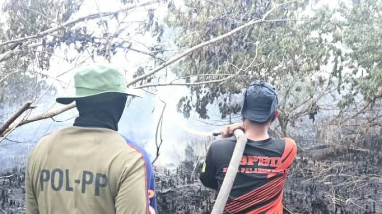 Karhutla Merambah Permukiman di Lingkar Luar Mahir Mahar