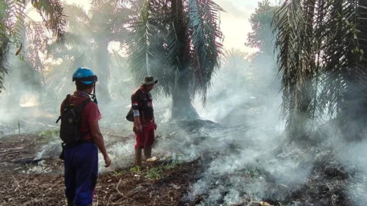 Empat Titik Karhutla Terjadi dalam Sehari, BPBD Kobar Bergerak Cepat