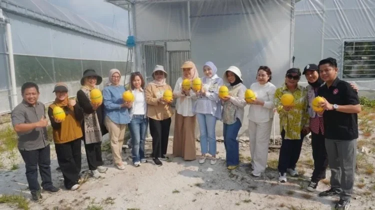 Smart Greenhouse Dorong Modernisasi Hortikultura Kalteng