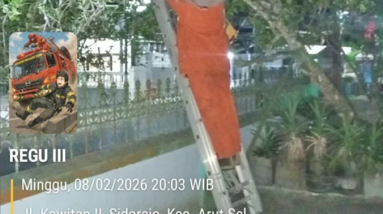 Resahkan Warga Sidorejo, Damkar Kobar Evakuasi Sarang Lebah Madu
