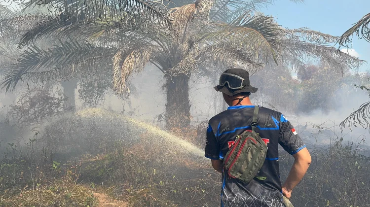 Tim Pengendalian Dishut Kalteng Padamkan Kebakaran Hutan dan Lahan di Katingan
