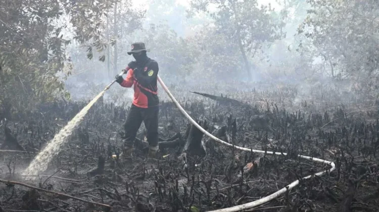 Musim Hujan Diperkirakan Akhir September 2026