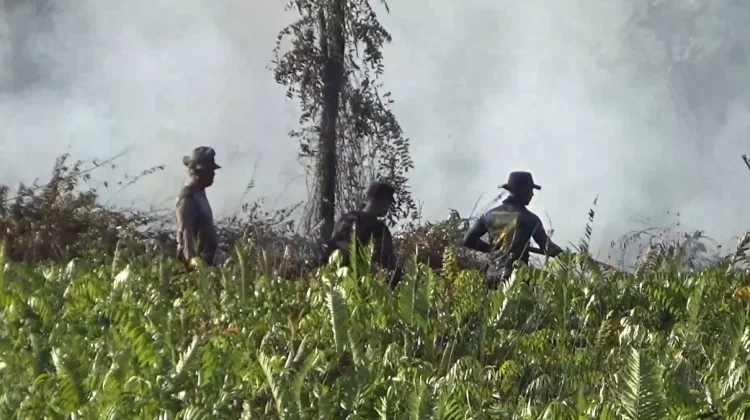 Karhutla Tumbang Nusa Belum Padam, Petugas Cegah Api Dekati Jalan