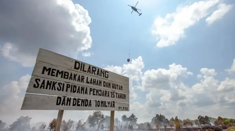 BNPB Tambah Helikopter Water Boombing Padamkan Karhutla Kalteng