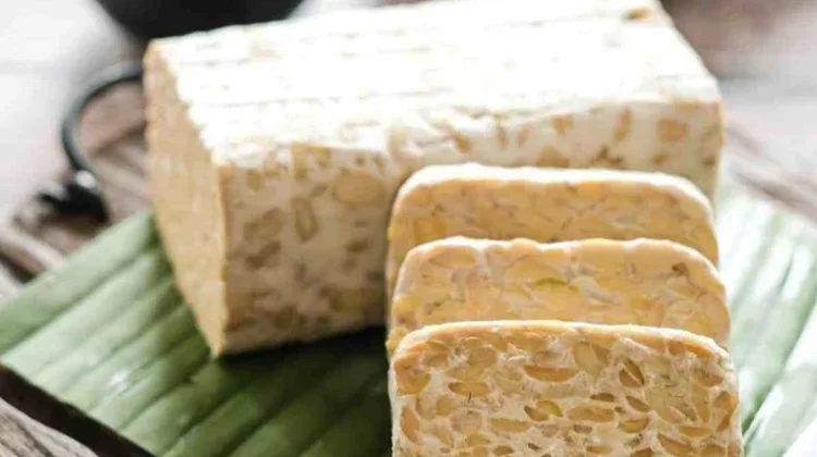 Tempe Indonesia Bernilai Tinggi di Luar Negeri