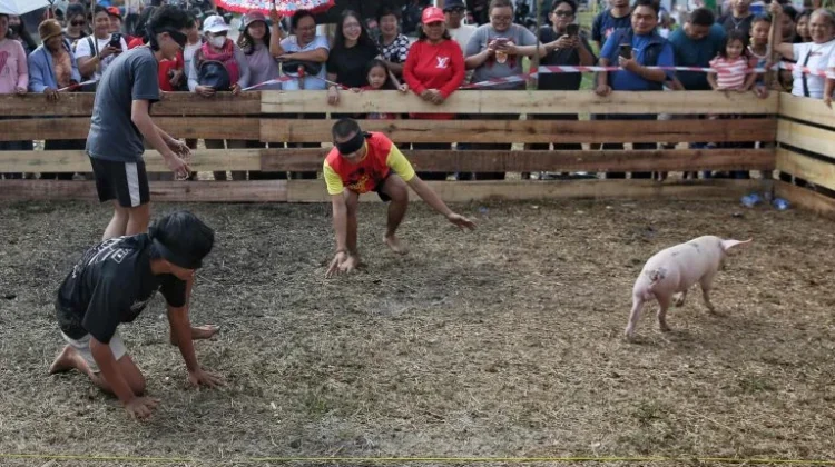 Meriahkan HUT Kemerdekaan, KKD Dusmala-Tebama Gelar Lomba Menangkap Anak Babi