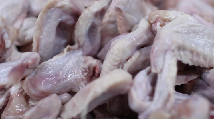 Pemasok MBG Pastikan Kualitas dan Higienitas Bahan Pangan
