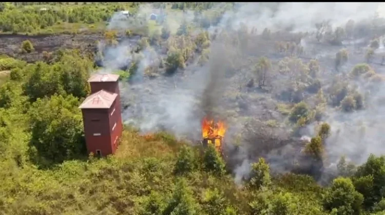 Karhutla Dekati Permukiman Warga di Palangka Saya, Satu Rumah Terbakar