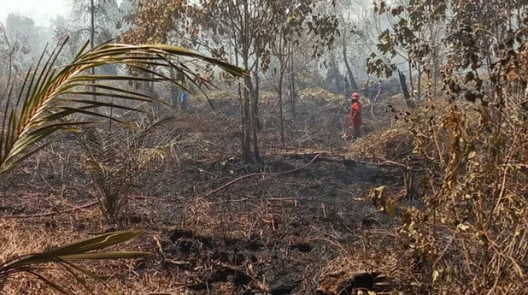 Kebakaran Lahan Gambut di Jalan DPR Kumai Masih Ditangani Petugas Gabungan