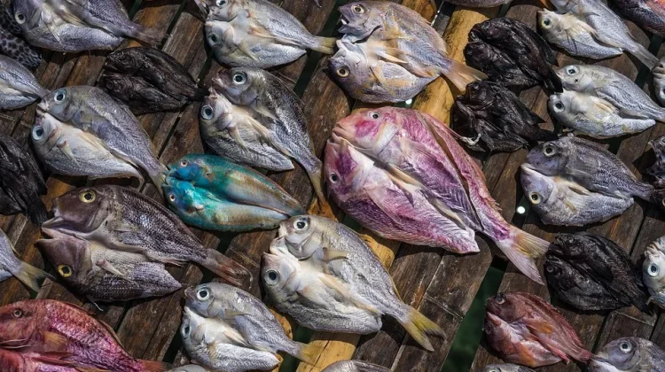 Proses Pengawetan Menentukan Perbedaan Ikan Asin dan Ikan Kering