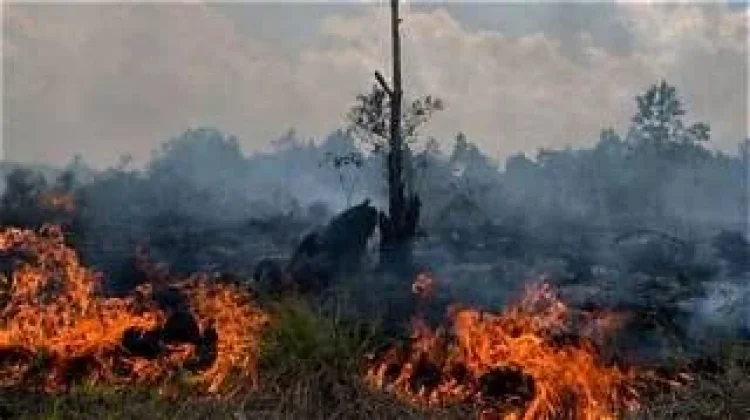 Pemprov Kalteng Perkuat Pengawasan Titik Rawan Kebakaran Hutan dan Lahan