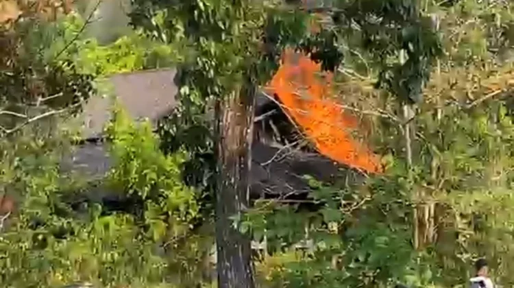 Api Berkobar Hanguskan Eks Kantor Dayak Post, Padahal Bangunan Terbengkalai