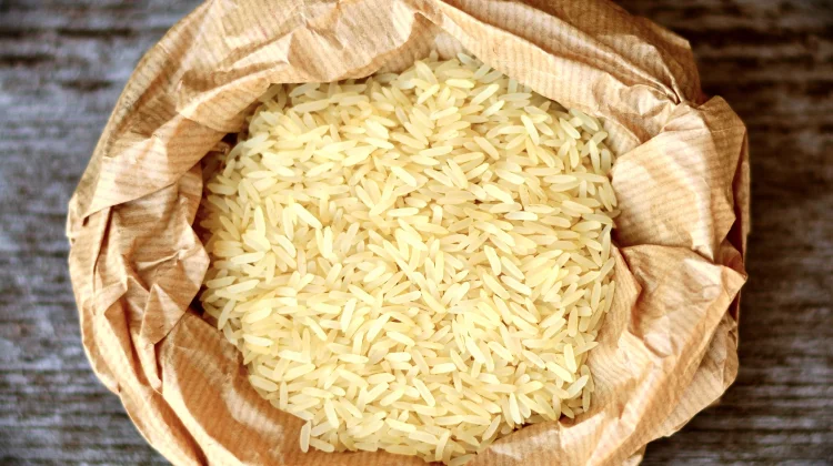 Kemarau Pengaruhi Hasil Pertanian, Pemko Upayakan Pengendalian Harga dengan GPM