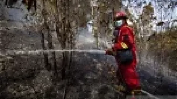 Petugas Pengendalian Kebakaran Hutan dan Lahan Padamkan Api di Tumbang Nusa