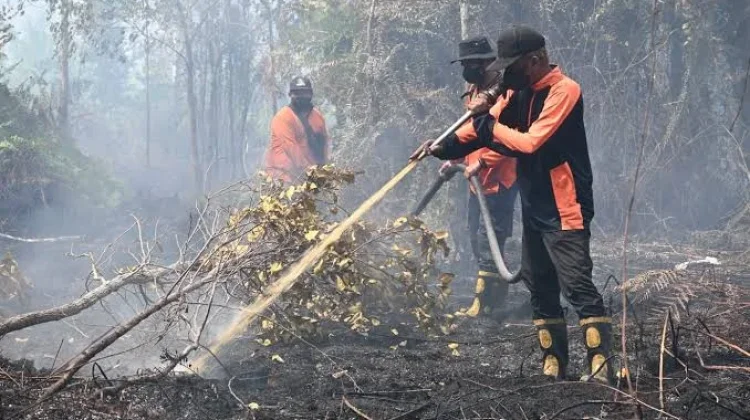 BPBD Palangka Raya Masih Berupaya Padamkan Karhutla