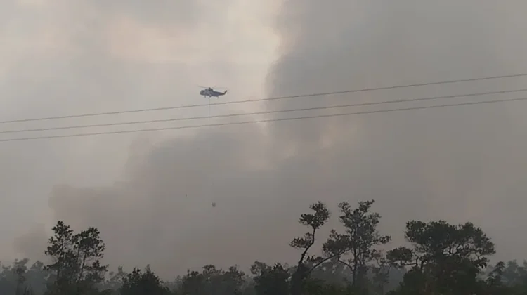 Karhutla Petuk Ketimpun Meluas, Helikopter Water Boombing Dikerahkan