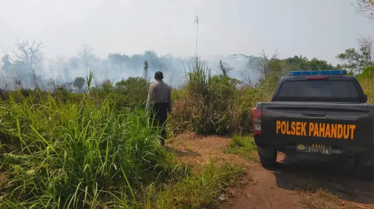 Titik Panas di Bukit Tunggal, Waspada Karhutla Meluas