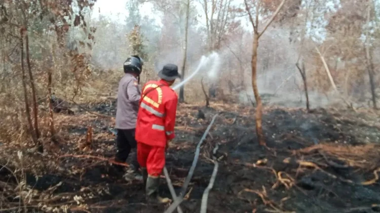 Cegah Karhutla Meluas, Polsek Sabangau Padamkan Titik Panas di Kalampangan