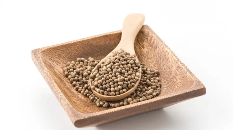 Biji Ketumbar, Kunci Aroma Sedap Berbagai Masakan