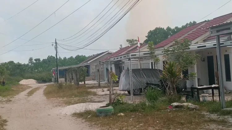 BPBD Palangka Raya Padamkan Karhutla agar Tidak Meluas ke Permukiman