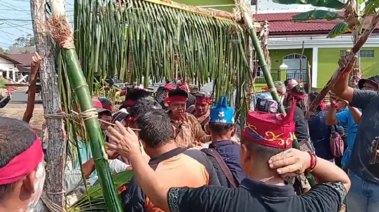 Tradisi Potong Pantan Suku Dayak Kalteng Masih Terjaga hingga Kini