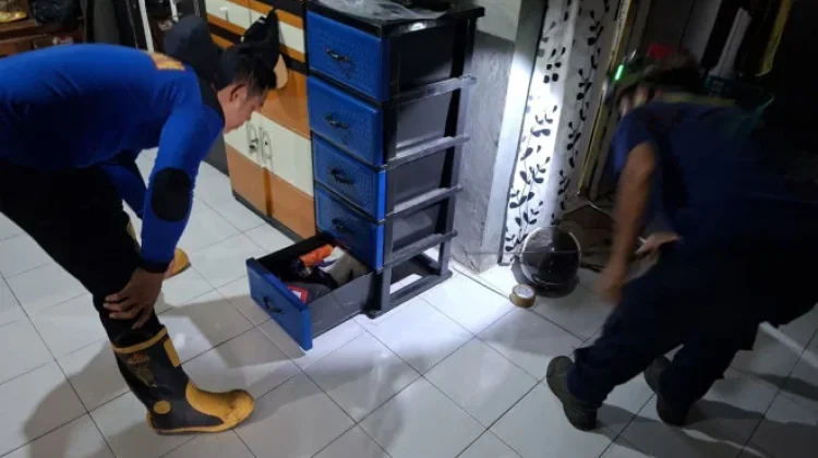Damkar Kobar Evakuasi Ular Kobra di Rumah Warga BTN Akasia Permai
