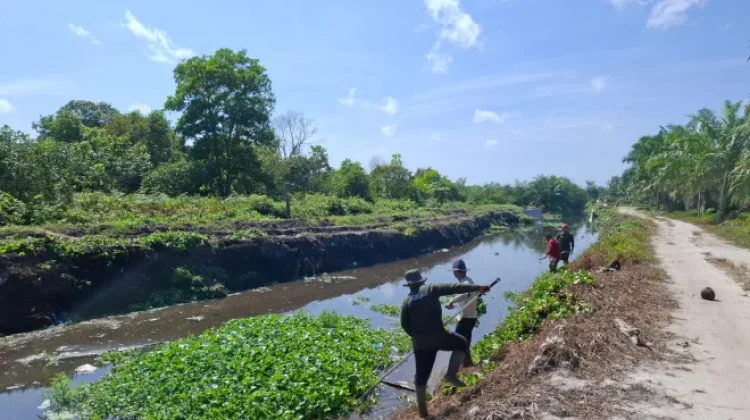 Cegah Genangan, Satgas SDA DPUPR Kobar Bersihkan Saluran Pengendali Banjir