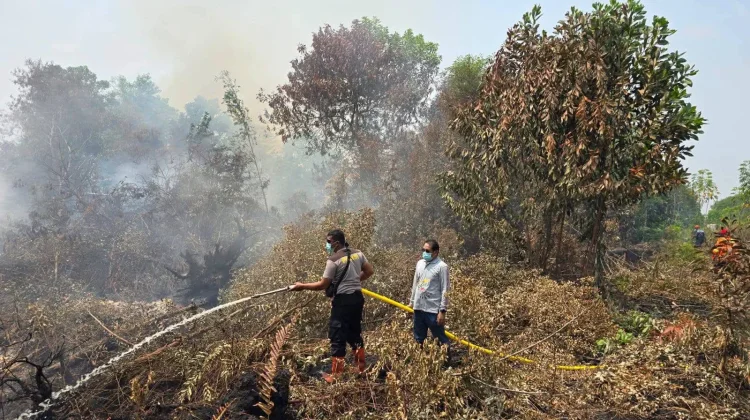 Dua Hektare Lahan Gambut di Langkai Terbakar, Polisi Kerahkan MPA-BPK Padamkan Api