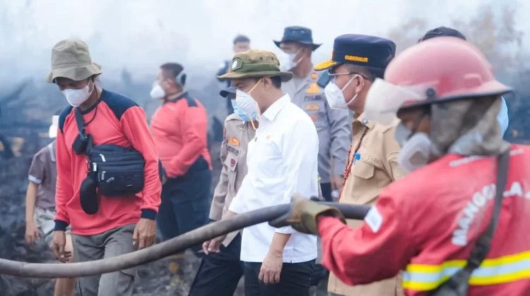 Gubernur Kalteng dan Menhut Tinjau Kebakaran Hutan, Lahan Petuk Katimpu