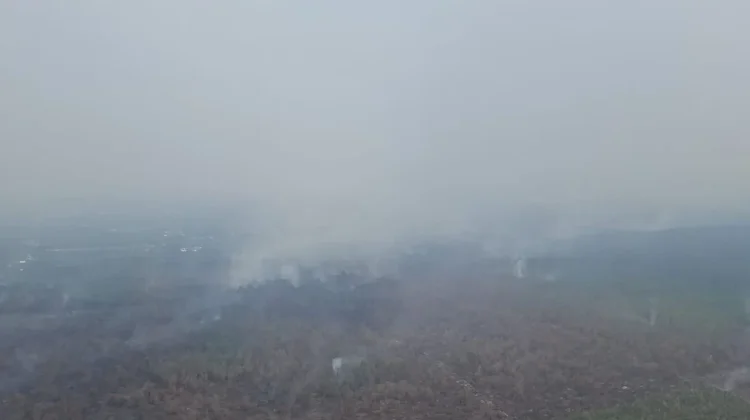 Kabut Asap Karhutla, Jam Belajar Sekolah Rakyat Diundur