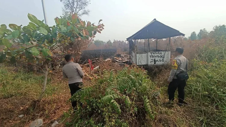 Polsek Pahandut Cek Lokasi Karhutla Viral di Sosmed